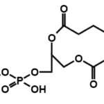 Biotin-PEG45-DSPE