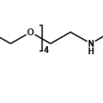endo-BCN-PEG4-Biotin