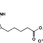 (+)-Biotin-NHS Ester