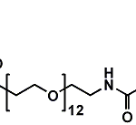 DBCO-NH-PEG12-Biotin