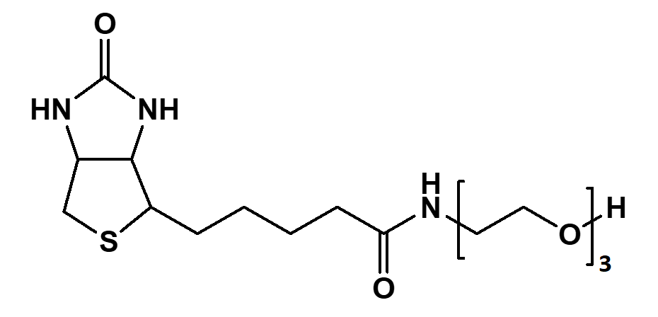 (+)-Biotin-PEG3-OH