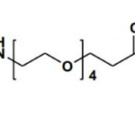 Boc-NH-PEG4-NHS