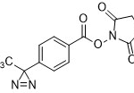 CF3-Diazirine-Ph-NHS ester