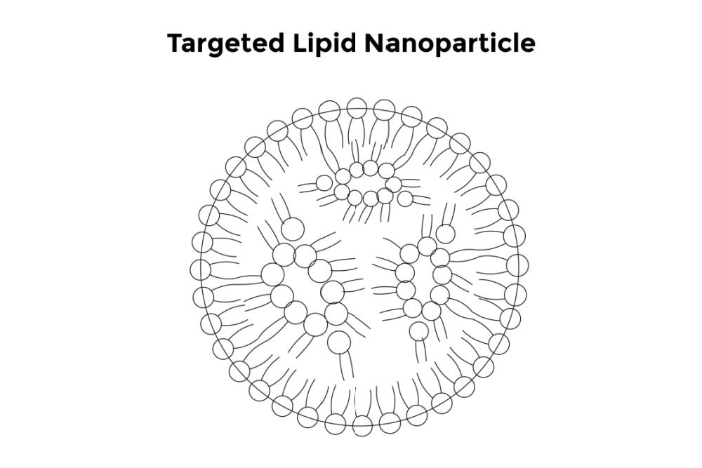 Lipid Nanoparticles for Drug Delivery Solutions | PurePEG