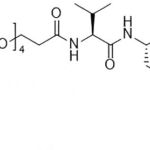 Amine-PEG4-Val-Cit