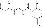 Mal-Gly-Gly-L-Phe-N-[(carboxymethoxy)methyl]Glycinamide
