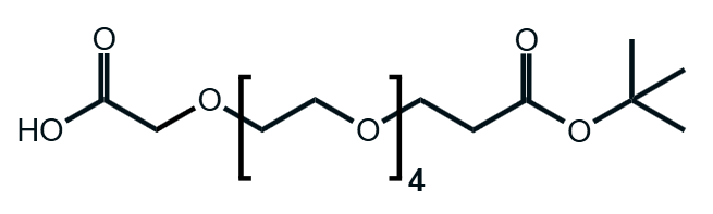 HOOC-CH2-PEG4-CH2CH2COOtBu