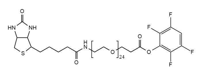 2467524 Biotin-PEG24-CH2CH2COOTFP